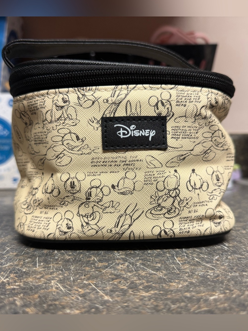 Disney Mickey Mouse & Friends Sketch Cosmetic Train Case Makeup Bag NWT